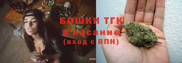 стаф Белокуриха