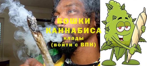 стаф Белокуриха